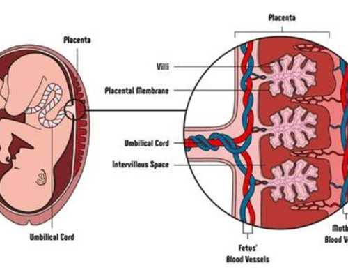 武汉试管助孕生小孩费用来了,内附花销明细！