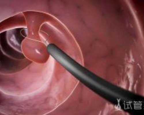 武汉供卵助孕官网网址,2026武汉中南医院试管婴儿成功率一览，附试管医生推荐