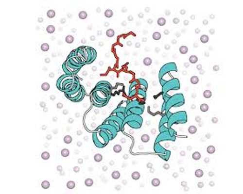 武汉高龄供卵生子,武汉供卵生孩子，武汉生殖助孕中心