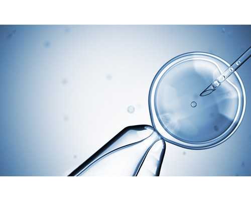 武汉代生供卵费用 武汉试管婴儿费用详情 ‘b超图圆椭圆看男女’