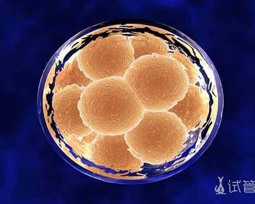 武汉协和做供精试管婴儿要等很久吗