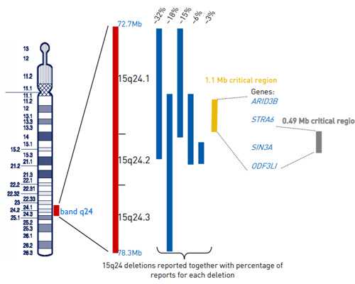 武汉供卵代生套餐,武汉同济医院有供卵吗,武汉同济医院可供卵