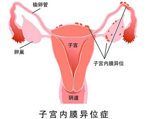 武汉市第一医院邓小艳医生的号好挂吗?