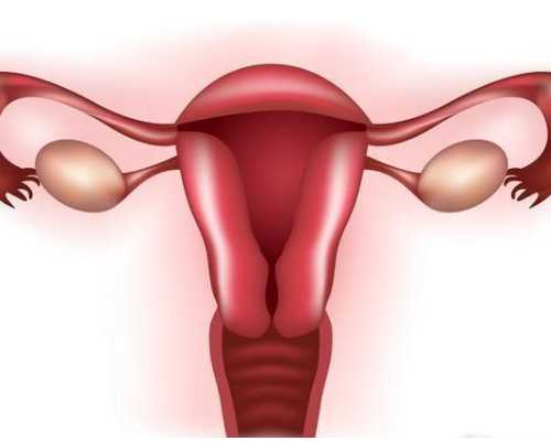 武汉代怀孕网站,武汉市试管婴儿需要多少钱，接近82529元