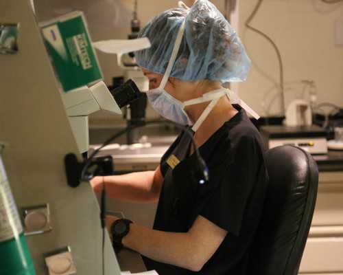 武汉试管婴儿医院排名，你是否了解其中的内情？