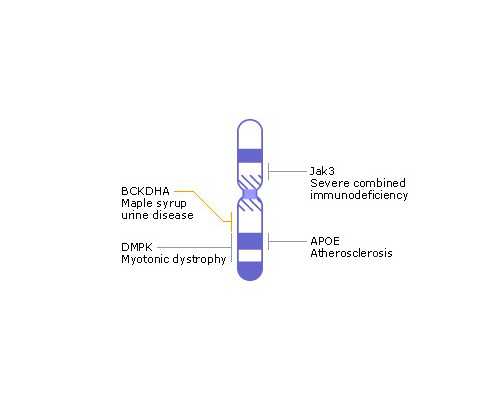 武汉供卵代怀机构电话,湖北武汉助孕机构试管医院哪家好?能做三代试管吗?