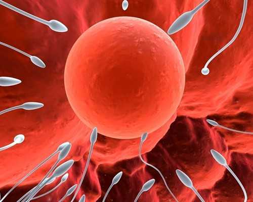 武汉美宝国际助孕,武汉三代试管婴儿医院(武汉三代试管包男孩价格)