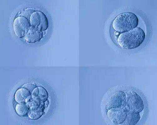 武汉做三代试管婴儿多少钱？附医院费用介绍！