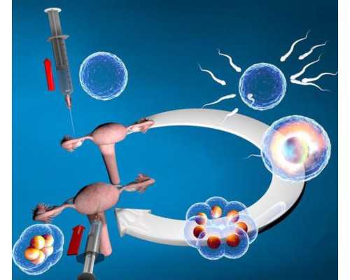 武汉做三代试管费用需要多少？是否值得一做！