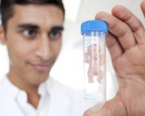 湖北助孕三代试管包性别靠谱吗？(三代试管 武汉)