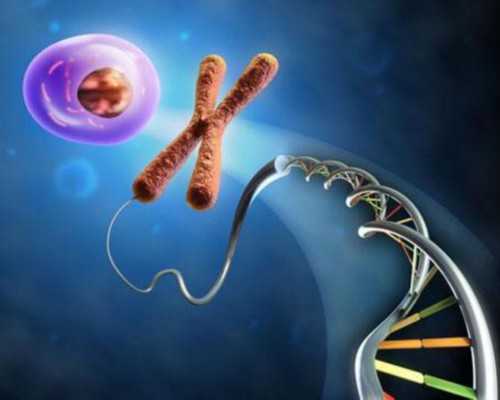 薅慜武汉供卵费用,武汉市哪些医院可做供卵试管_单机gta3收小弟