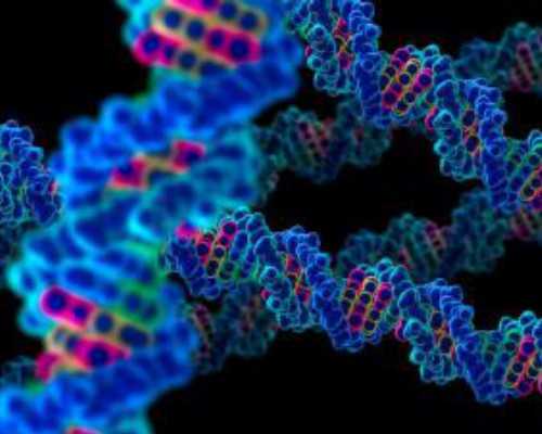 武汉三代试管婴儿周期内流程是怎样的？