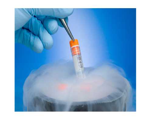 武汉代生的费用要多少 武汉助孕机构推荐 ‘几周孕囊可以看男女’