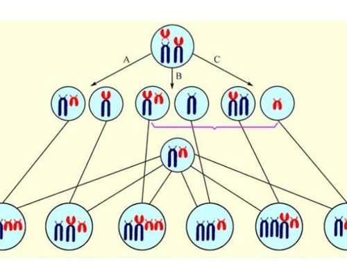 武汉第三代试管婴儿价格多少！附单身试管流程！