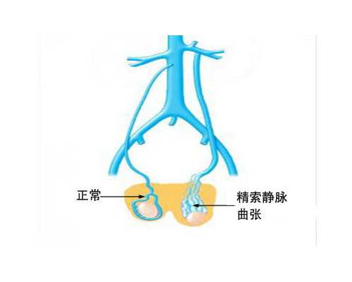 武汉协和医院生殖中心哪个医生好!附收费情况!